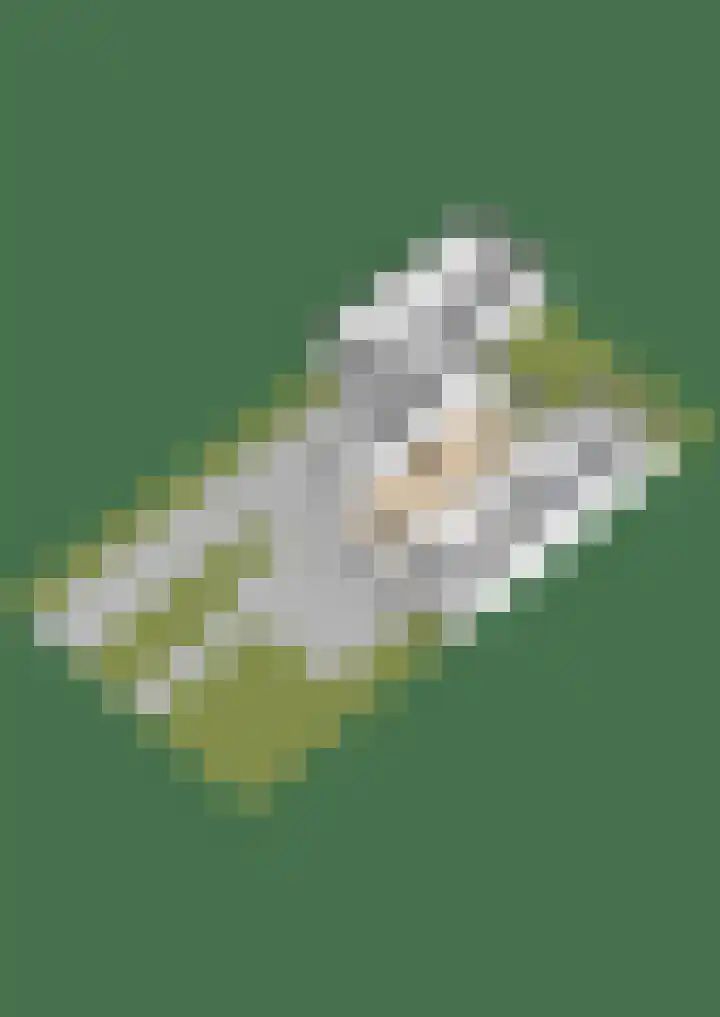 Frânskeleane 27 Bitgum thumbnail 46