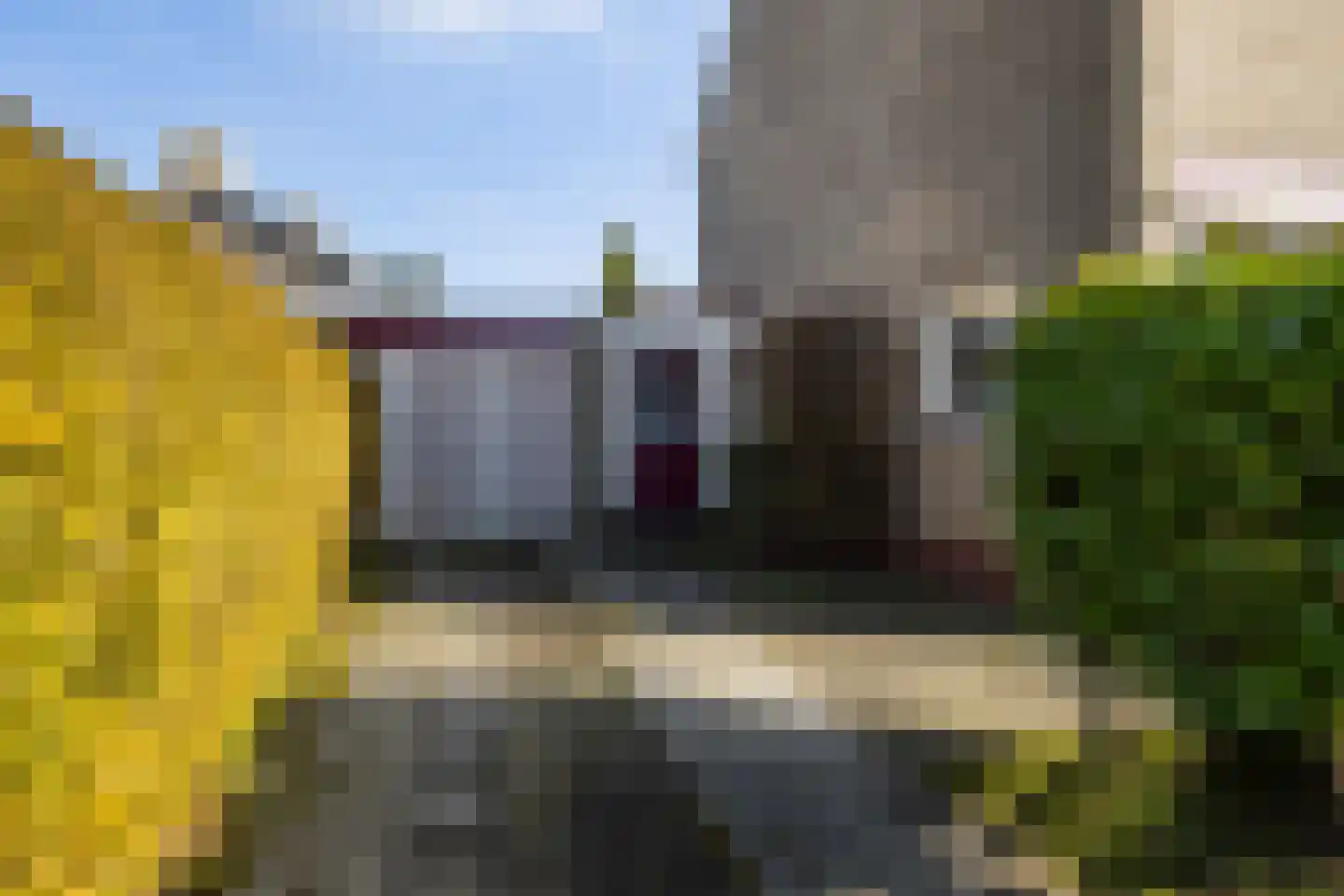 Frânskeleane 27 Bitgum thumbnail 6