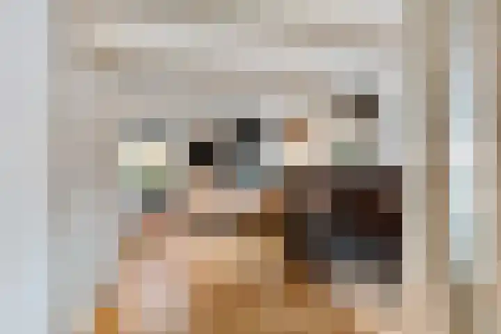 Frânskeleane 37 Bitgum thumbnail 10