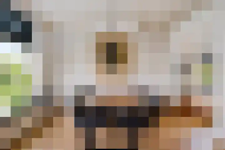 Frânskeleane 37 Bitgum thumbnail 13