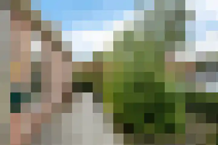 Frânskeleane 37 Bitgum thumbnail 24