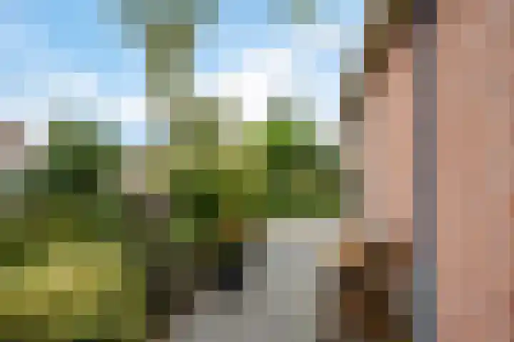 Frânskeleane 37 Bitgum thumbnail 25
