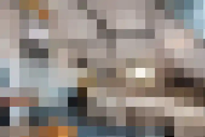 Frânskeleane 37 Bitgum thumbnail 31
