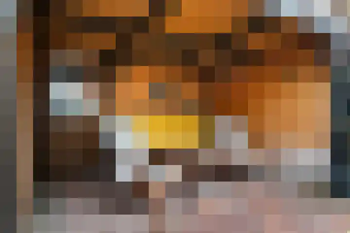 Frânskeleane 37 Bitgum thumbnail 36