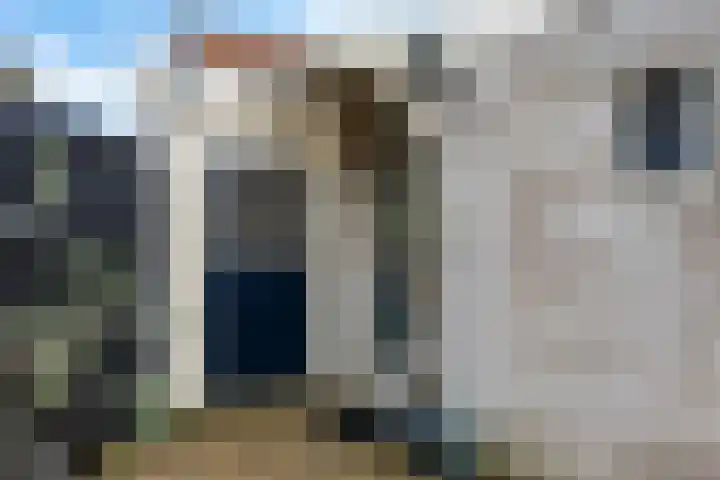 Frânskeleane 37 Bitgum thumbnail 37