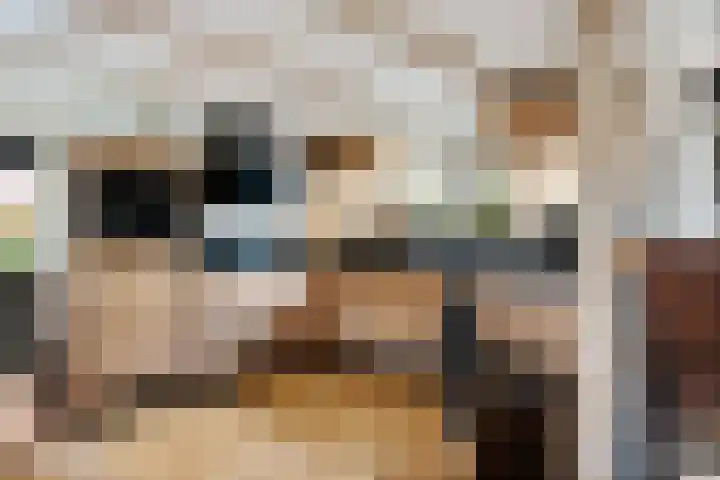 Frânskeleane 37 Bitgum thumbnail 4