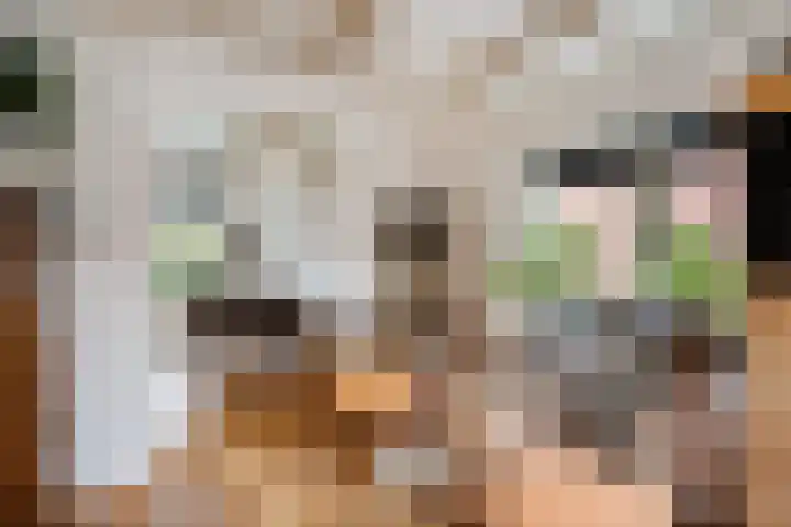Frânskeleane 37 Bitgum thumbnail 6