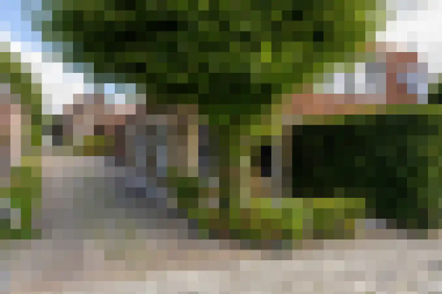 Frânskeleane 9 Bitgum thumbnail 10