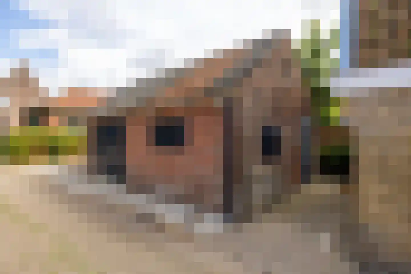 Frânskeleane 9 Bitgum thumbnail 11