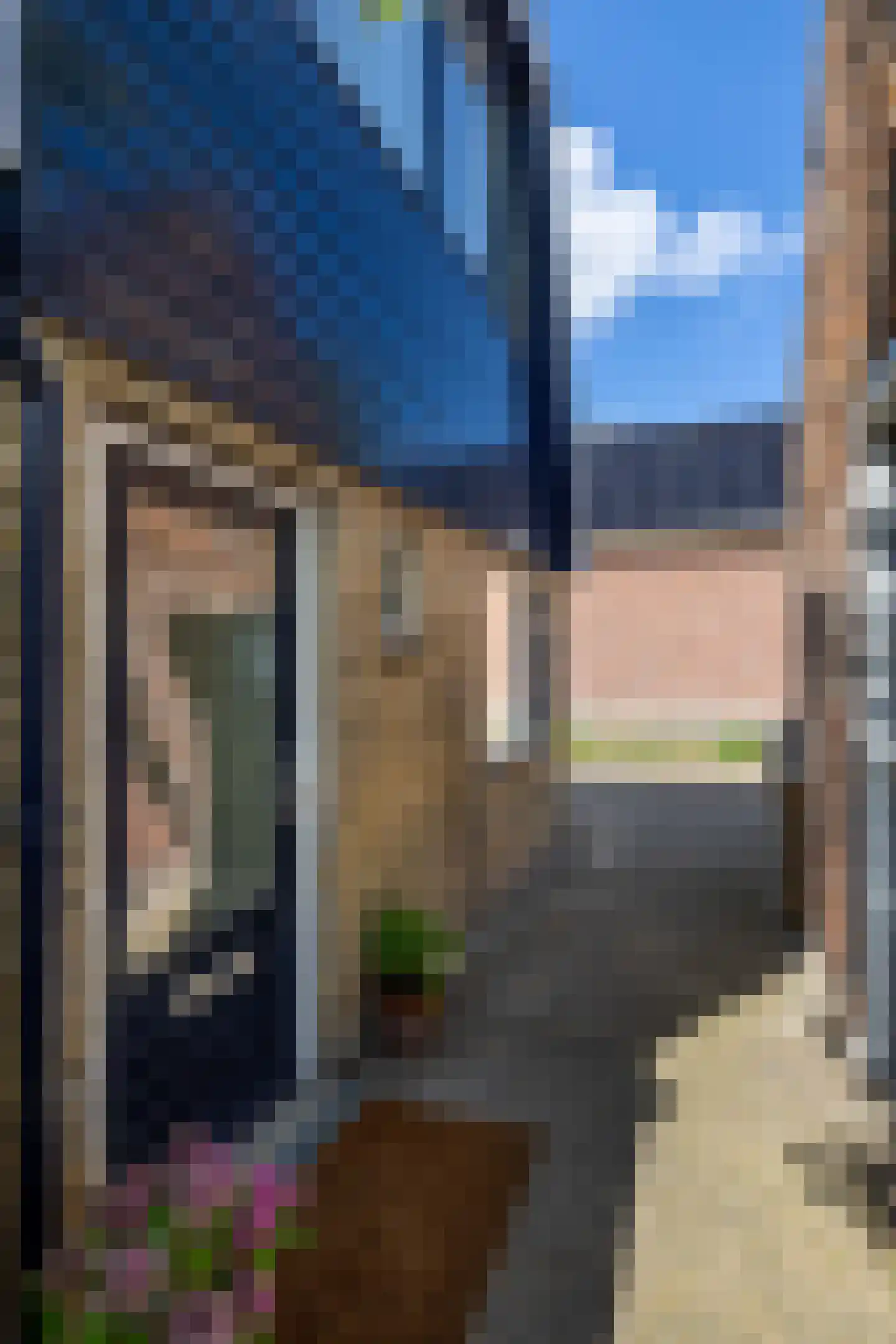 Frânskeleane 9 Bitgum thumbnail 15