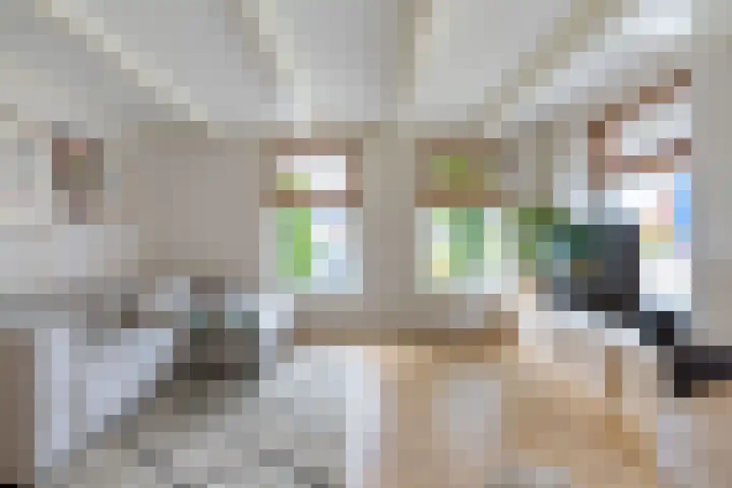 Frânskeleane 9 Bitgum thumbnail 23