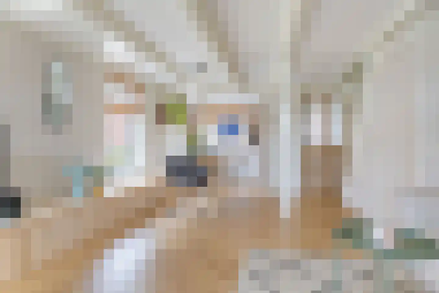 Frânskeleane 9 Bitgum thumbnail 27