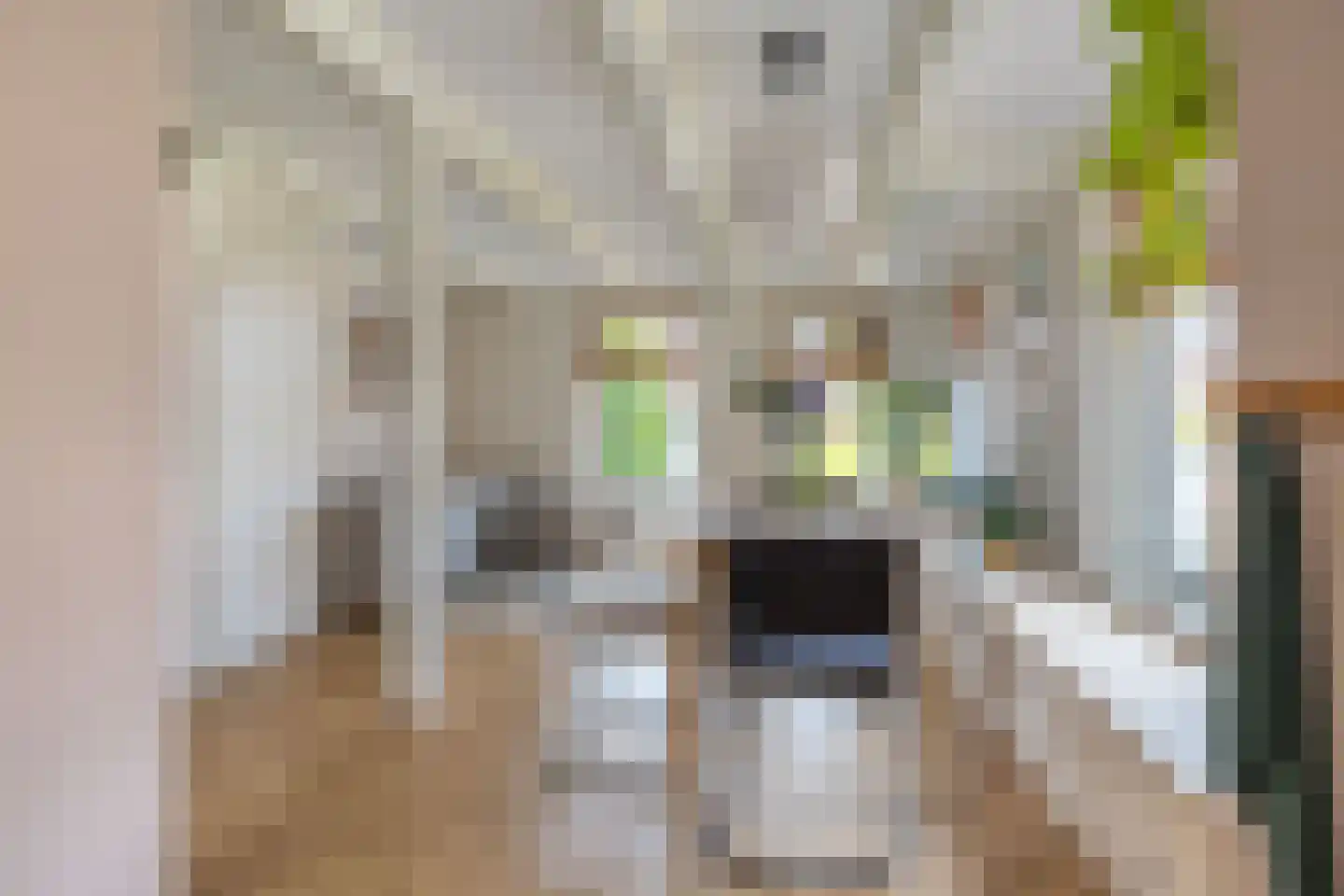 Frânskeleane 9 Bitgum thumbnail 31