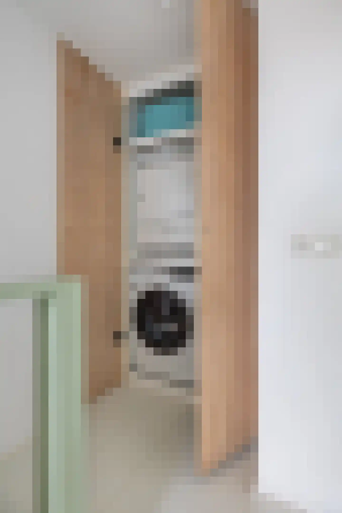 Frânskeleane 9 Bitgum thumbnail 37