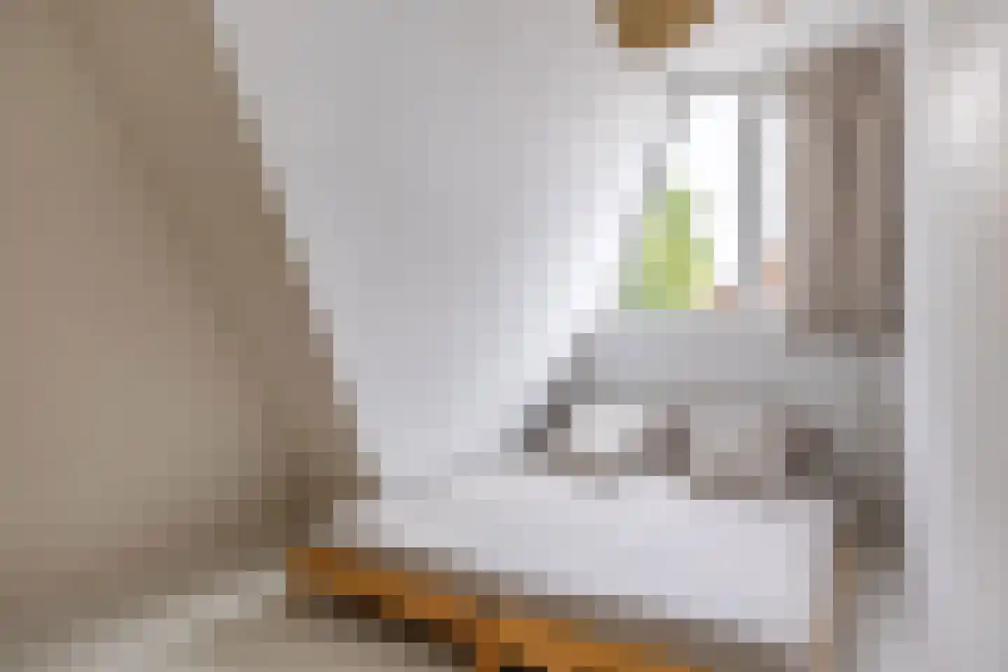 Frânskeleane 9 Bitgum thumbnail 40