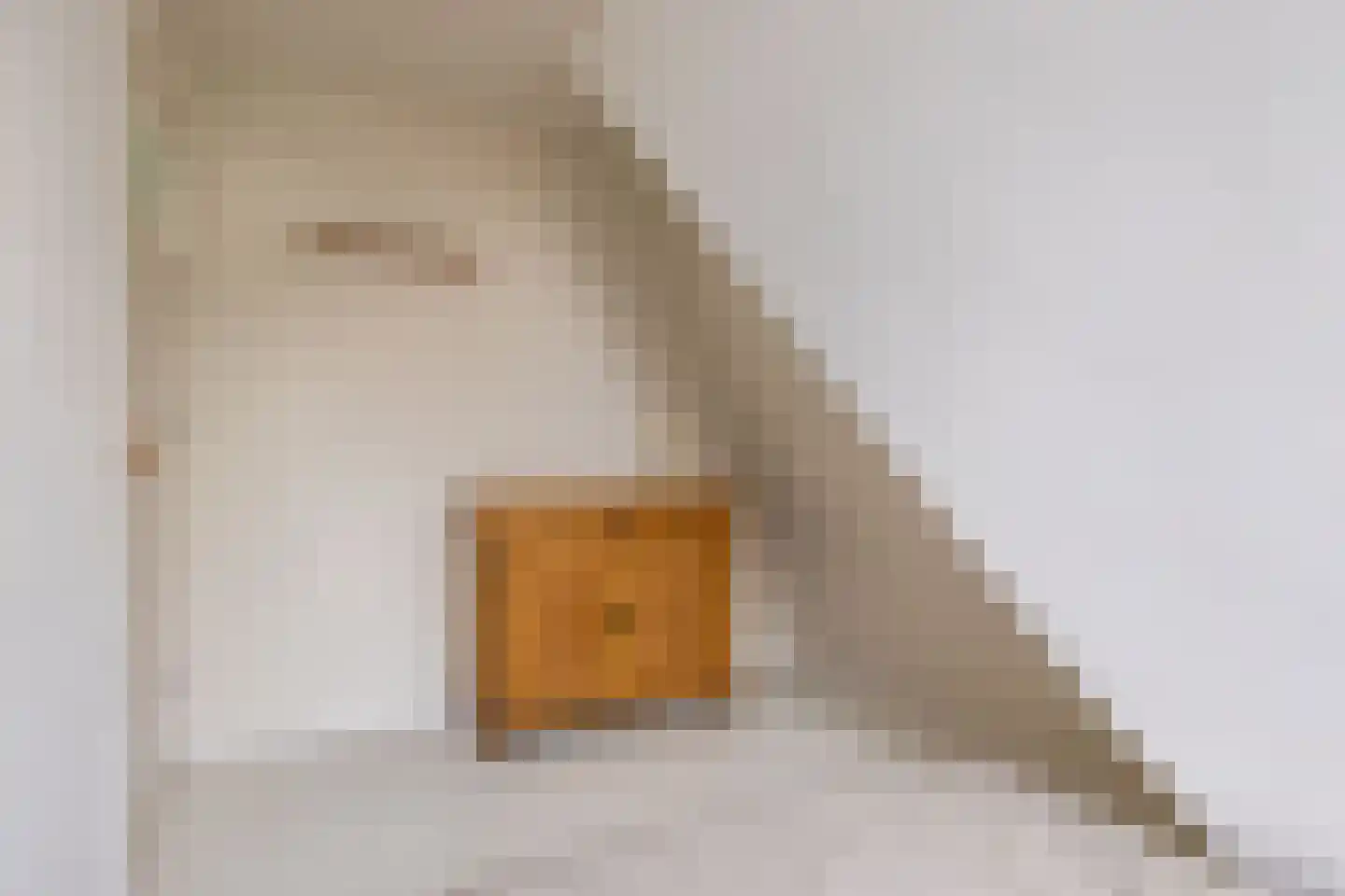 Frânskeleane 9 Bitgum thumbnail 41