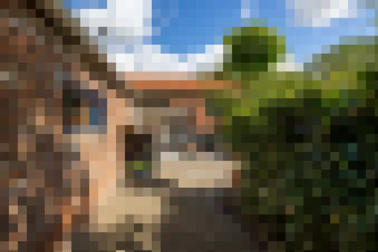 Frânskeleane 9 Bitgum thumbnail 48