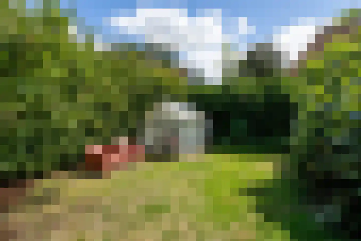 Frânskeleane 9 Bitgum thumbnail 50