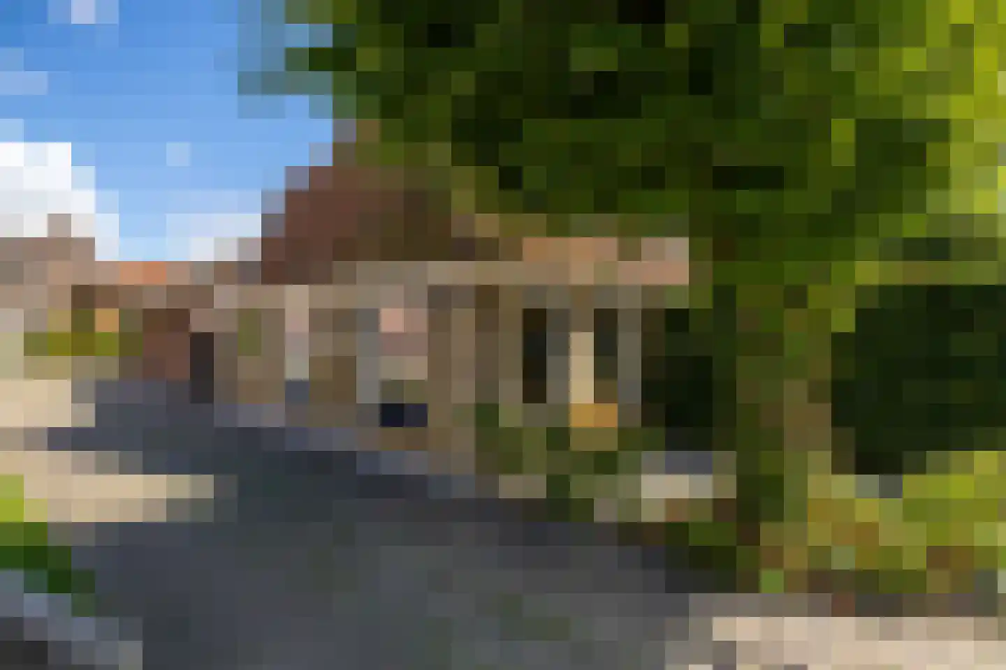 Frânskeleane 9 Bitgum thumbnail 7