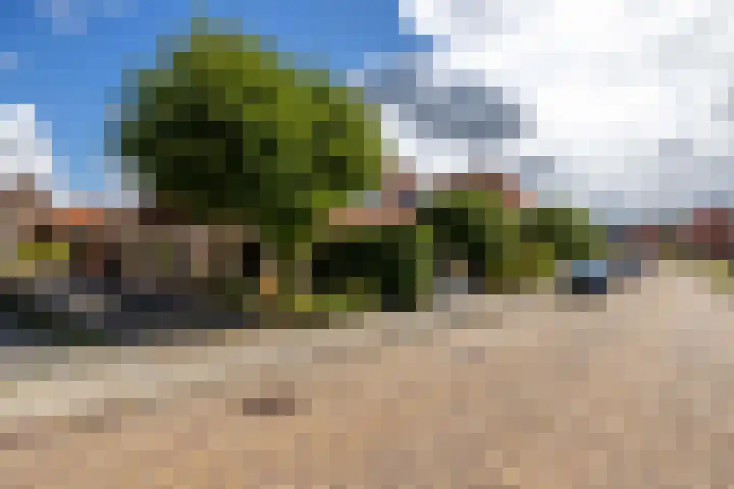 Frânskeleane 9 Bitgum thumbnail 8