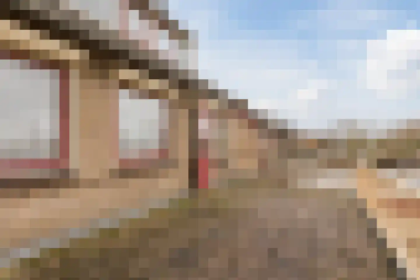 Franssenstraat 118 Vianen NB thumbnail 18