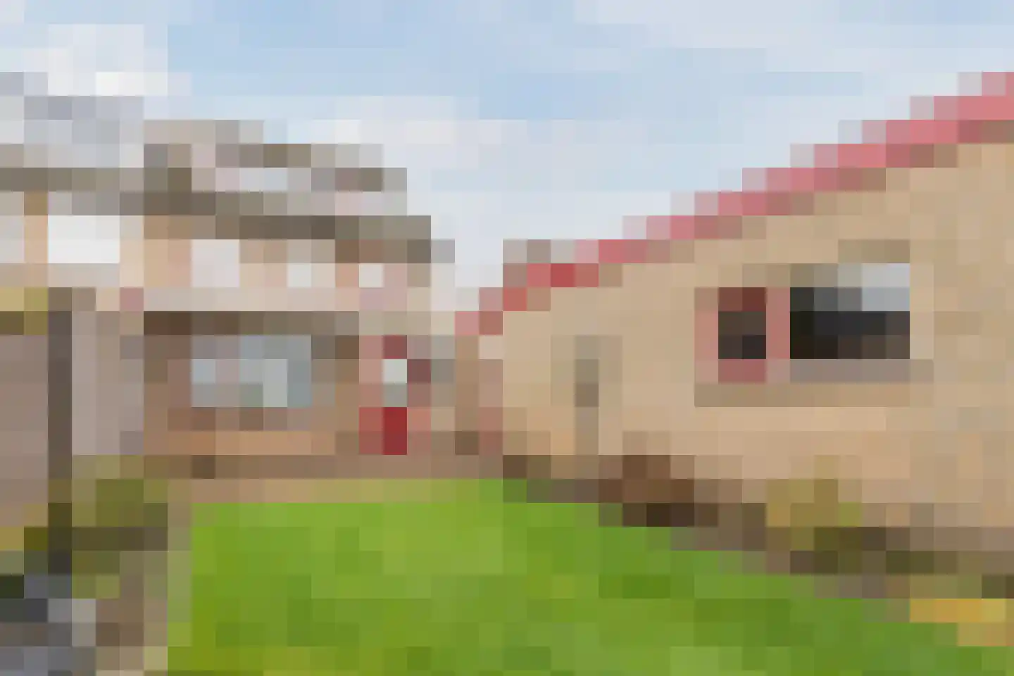 Franssenstraat 118 Vianen NB thumbnail 28