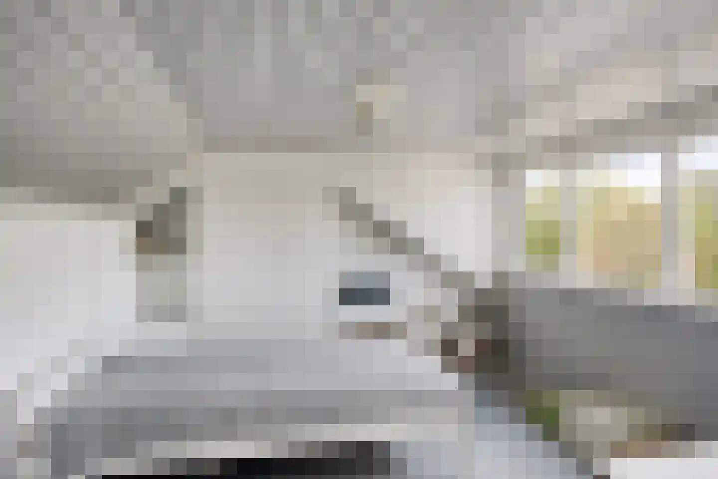Franssenstraat 124 Vianen NB thumbnail 33