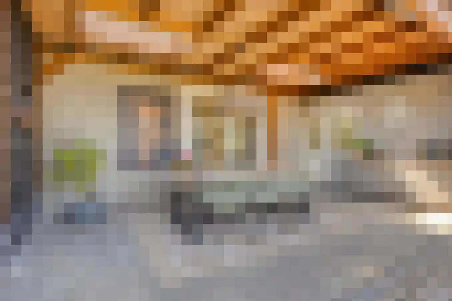 Franssenstraat 132 Vianen NB thumbnail 39