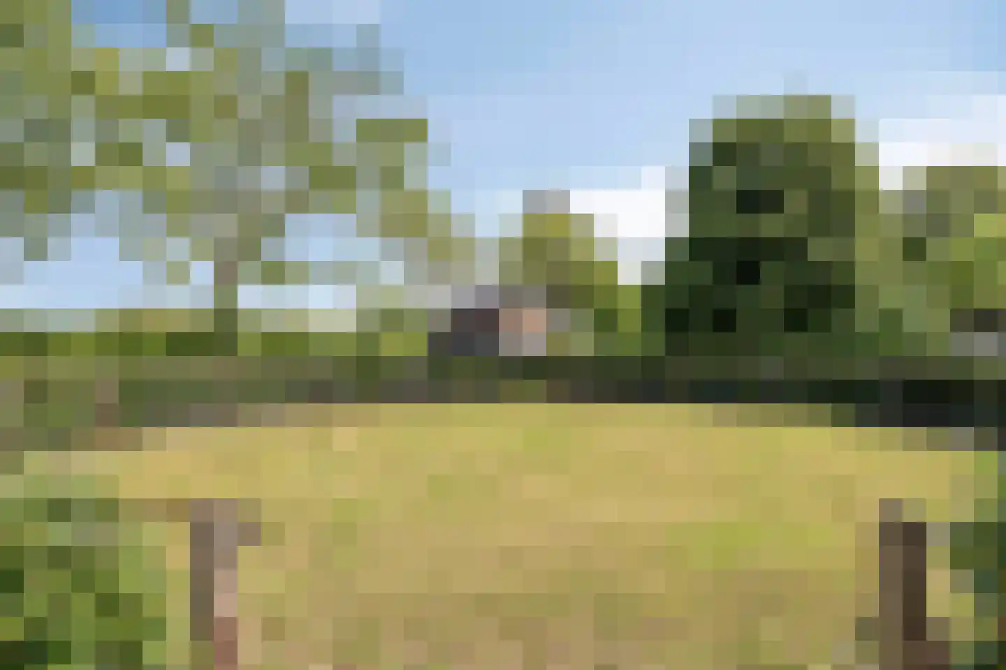 Franssenstraat 132 Vianen NB thumbnail 62