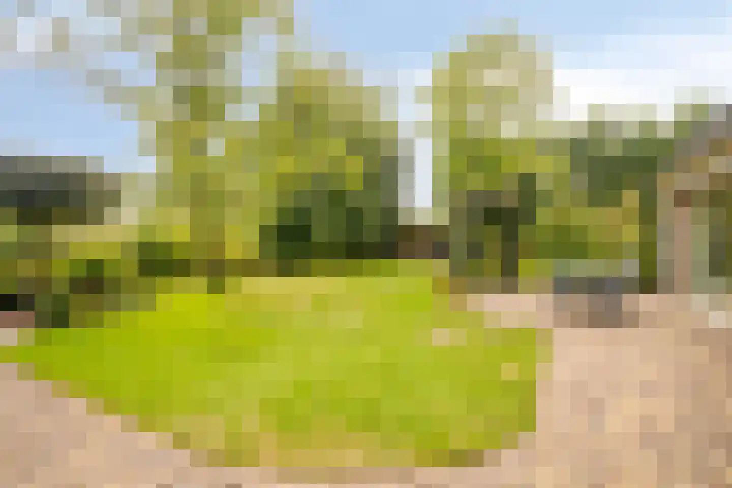 Franssenstraat 27 Vianen NB thumbnail 32