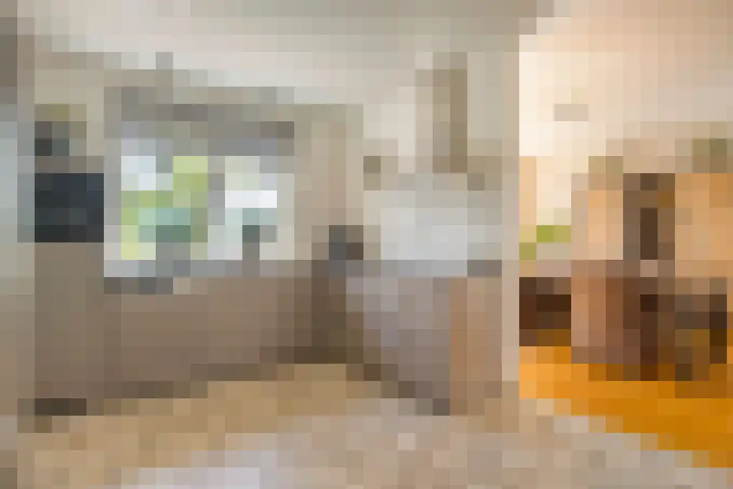 Franssenstraat 27 Vianen NB thumbnail 5