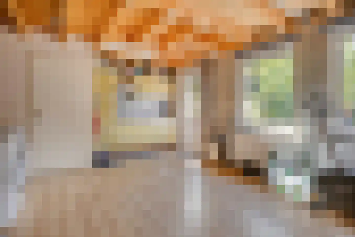 Franssenstraat 27 Vianen NB thumbnail 56