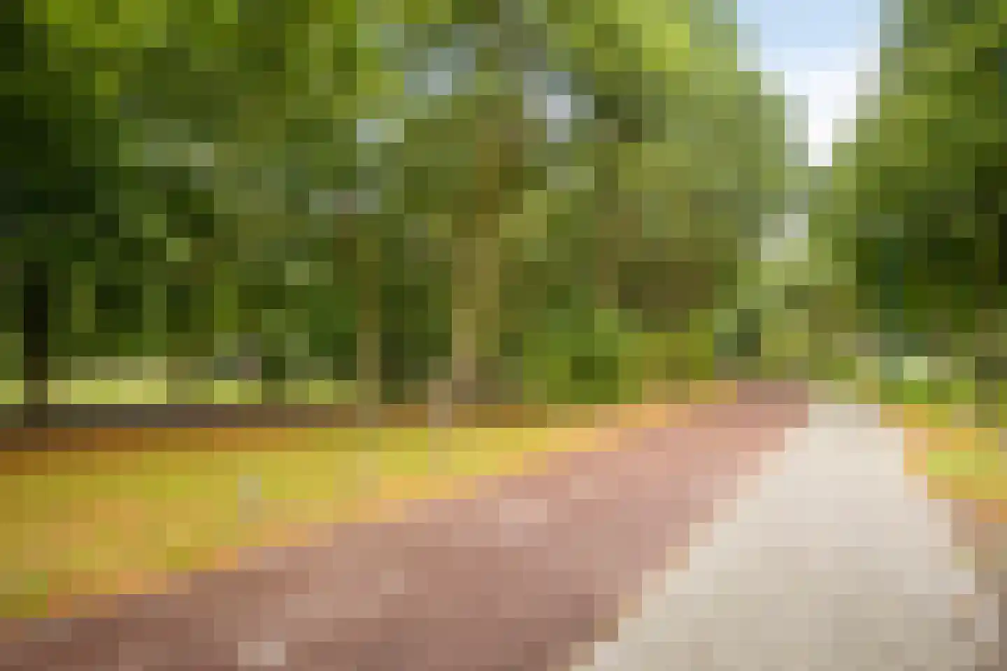 Franssenstraat 27 Vianen NB thumbnail 72