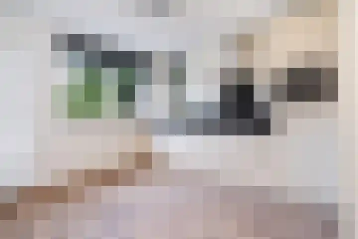 Franz Kafkaweg 11 Woerden thumbnail 13
