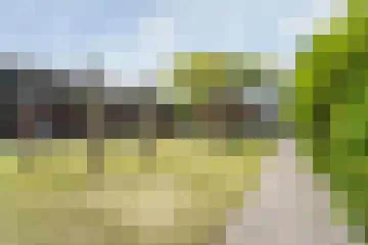 Franz Kafkaweg 11 Woerden thumbnail 36