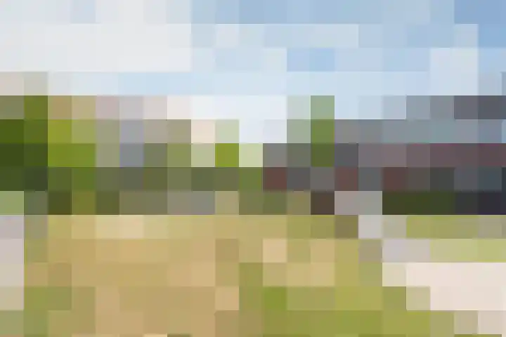 Franz Kafkaweg 11 Woerden thumbnail 37