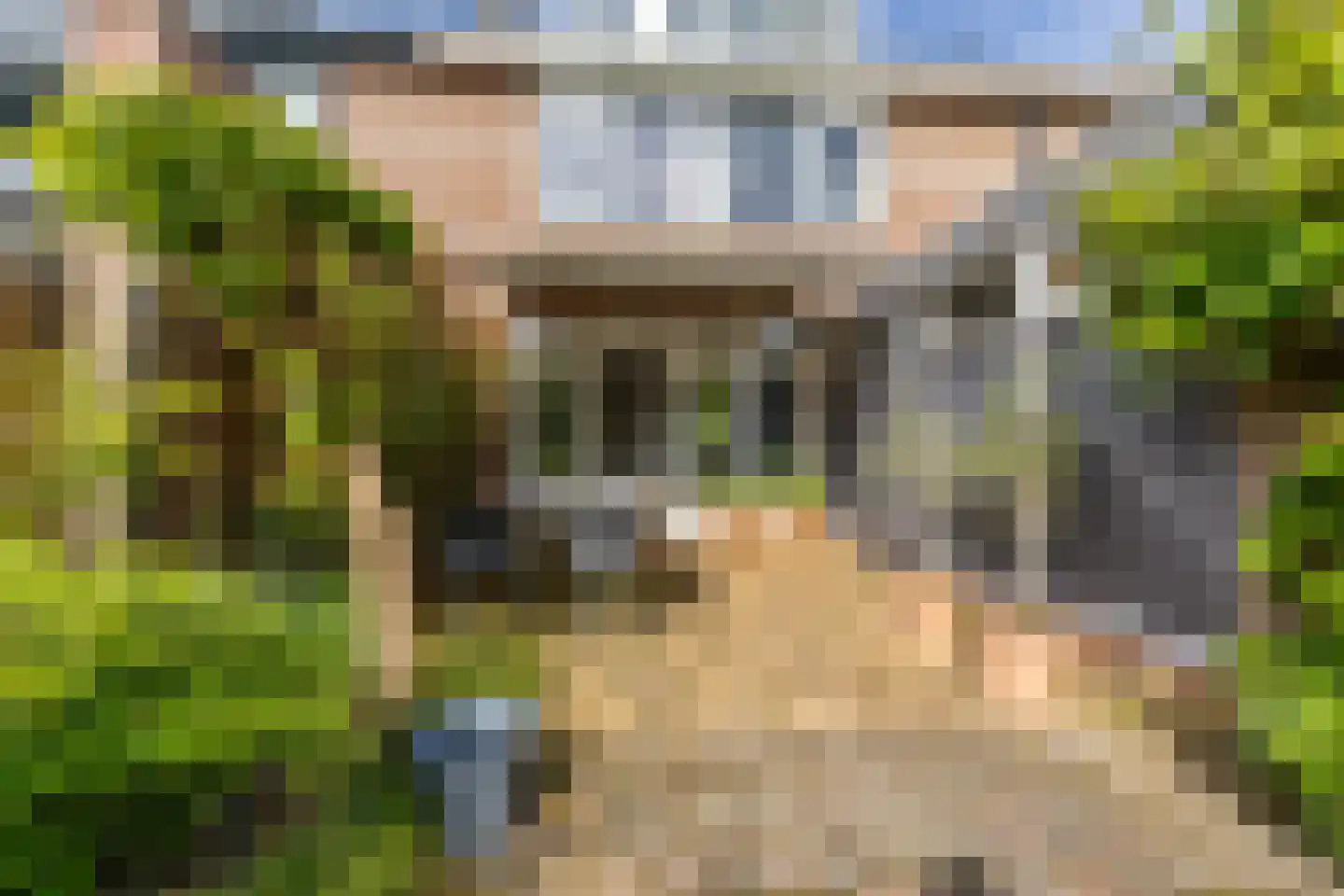 Franz Lehárlaan 72 Heemstede thumbnail 17