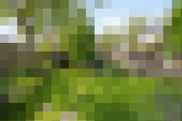 Franz Lehárpark 39 Waalwijk thumbnail 4