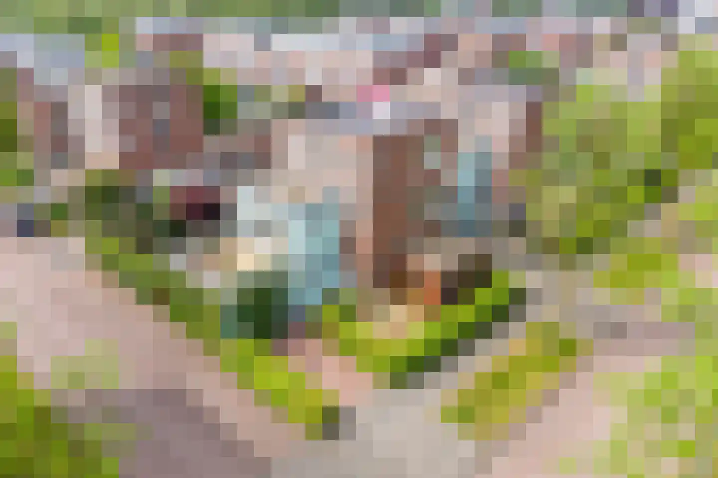 Franz Lehársingel 61 Utrecht thumbnail 100