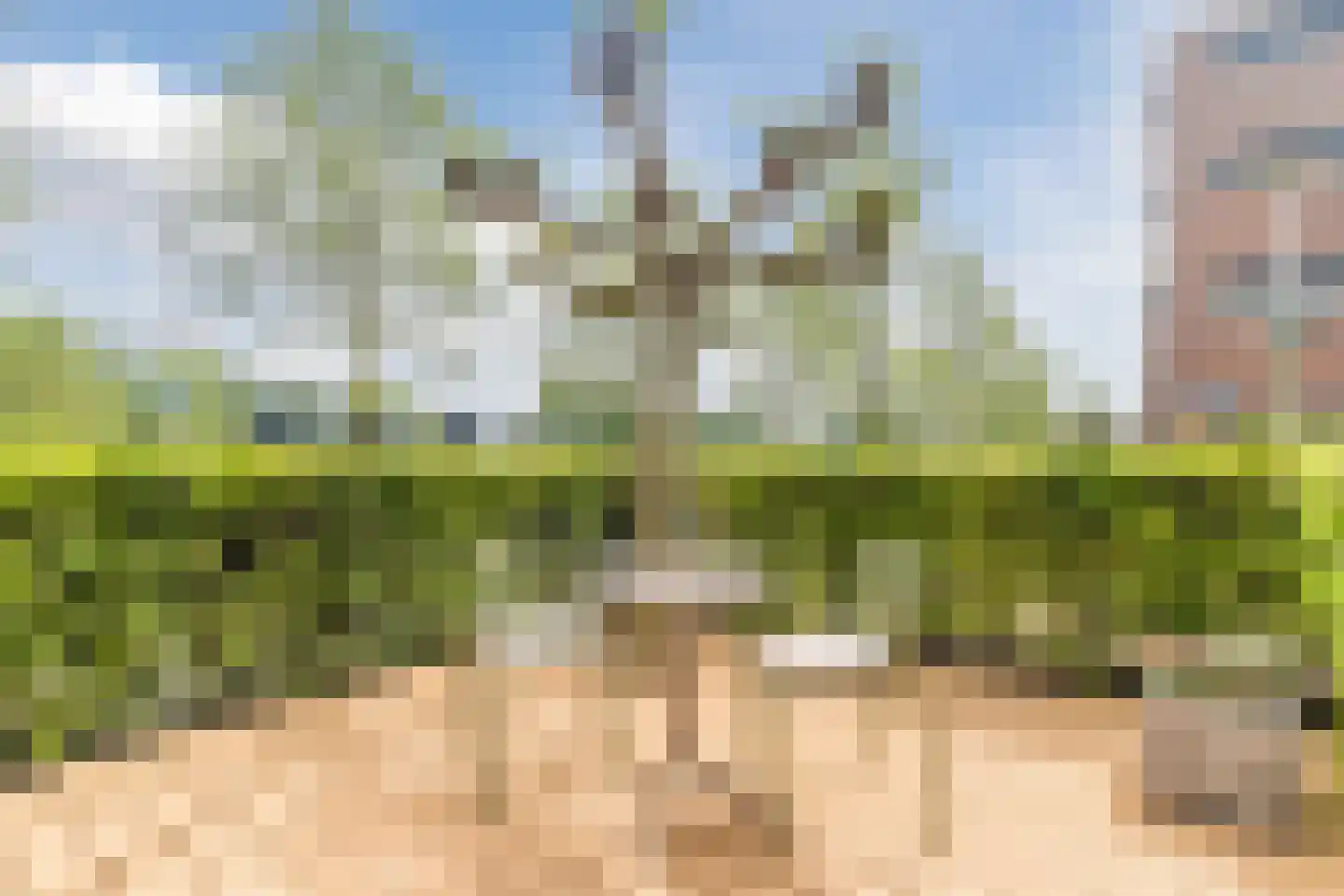 Franz Lehársingel 61 Utrecht thumbnail 34