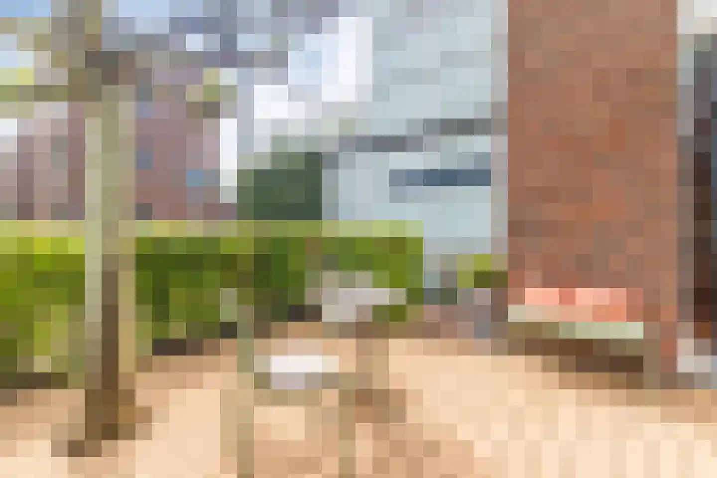 Franz Lehársingel 61 Utrecht thumbnail 35