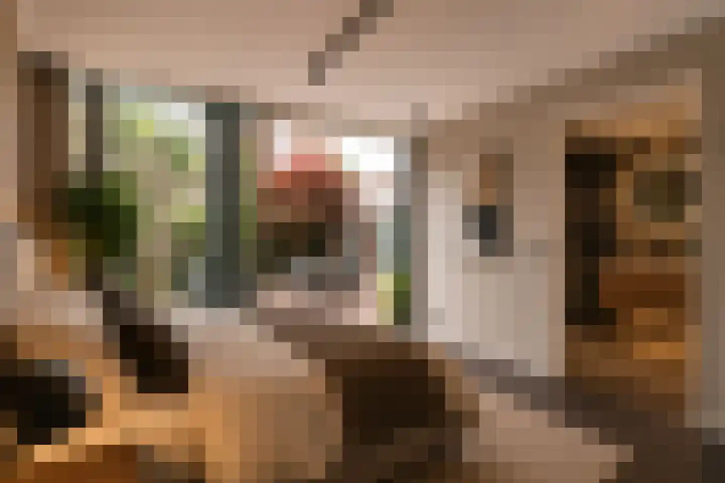 Franz Lehársingel 61 Utrecht thumbnail 51