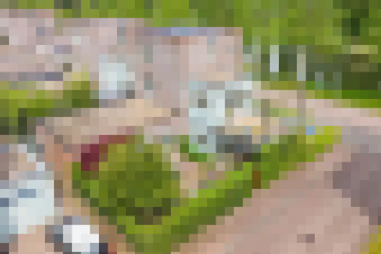 Franz Lehársingel 61 Utrecht thumbnail 98