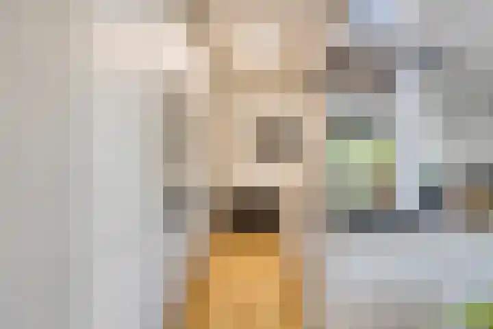 Franz Lisztlaan 16 Voorschoten thumbnail 18