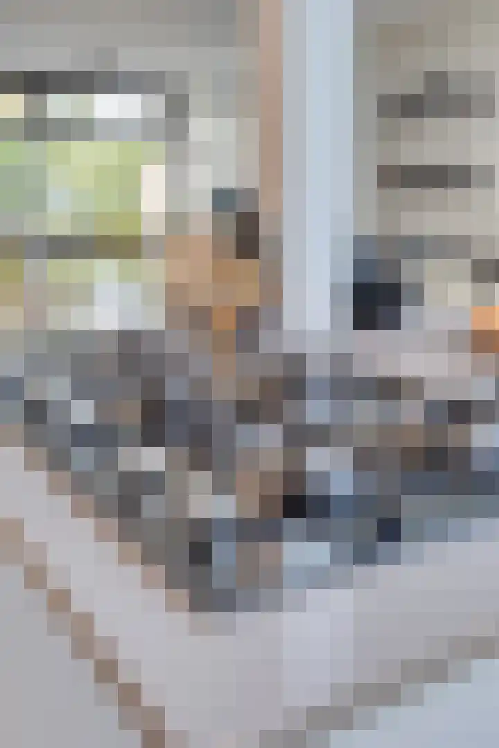 Franz Lisztlaan 16 Voorschoten thumbnail 21