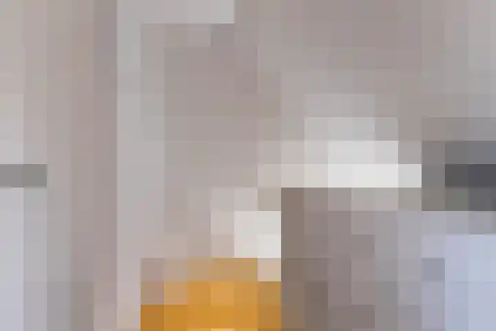Franz Lisztlaan 16 Voorschoten thumbnail 37