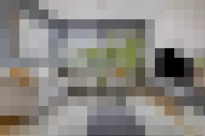 Franz Lisztlaan 16 Voorschoten thumbnail 5