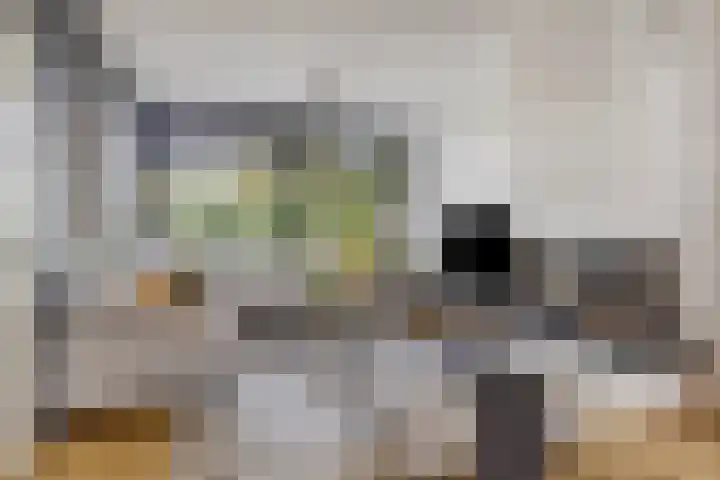 Franz Lisztlaan 16 Voorschoten thumbnail 6