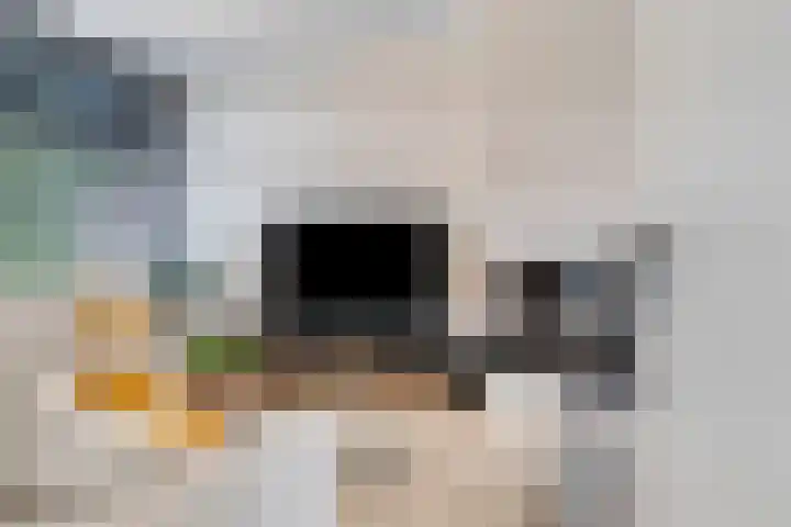 Franz Lisztlaan 16 Voorschoten thumbnail 7