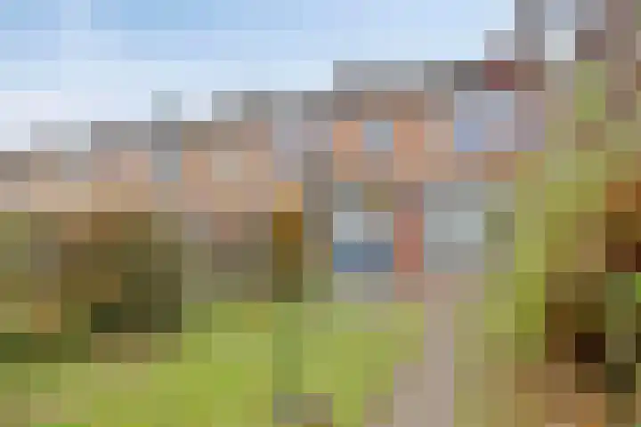 Franz Lisztstraat 39 Terneuzen thumbnail 17